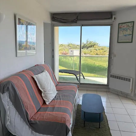 St Cyprien T3 Lumineux En Bord De Piscine *